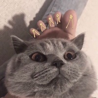 蜜糖追光者